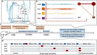 Combination of Matching Responsive Stimulations of Hippocampus and Subiculum for Effective Seizure Suppression in Temporal Lobe Epilepsy